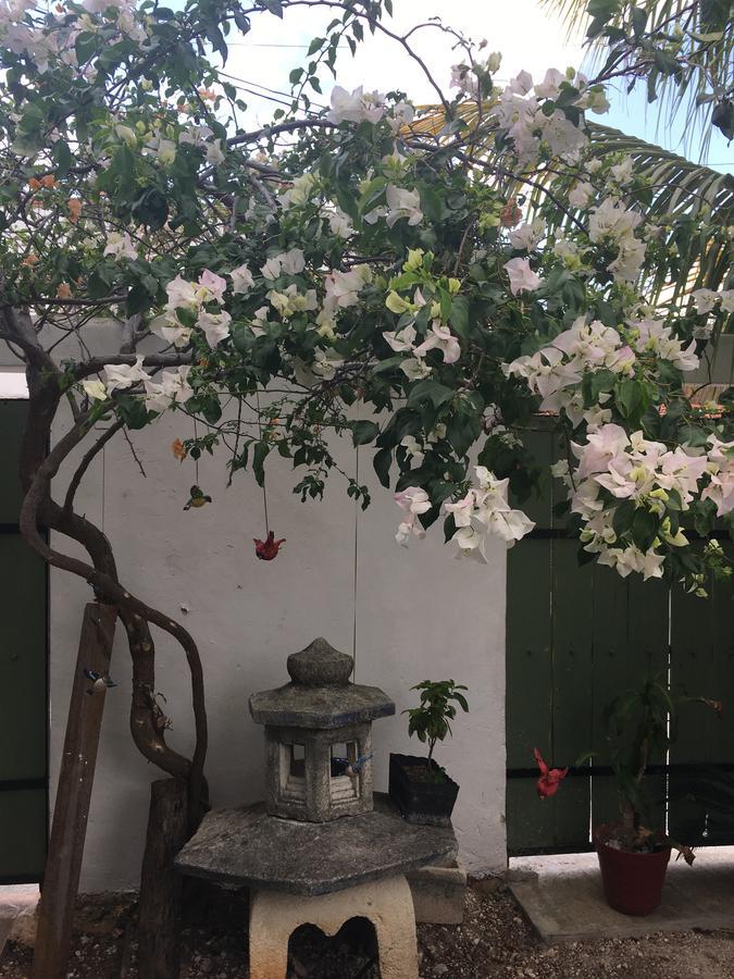 Violeta'S House Διαμέρισμα Κανκούν Εξωτερικό φωτογραφία