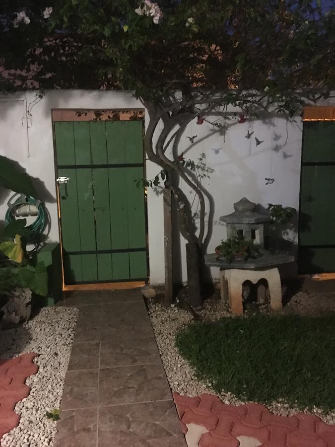 Violeta'S House Διαμέρισμα Κανκούν Εξωτερικό φωτογραφία
