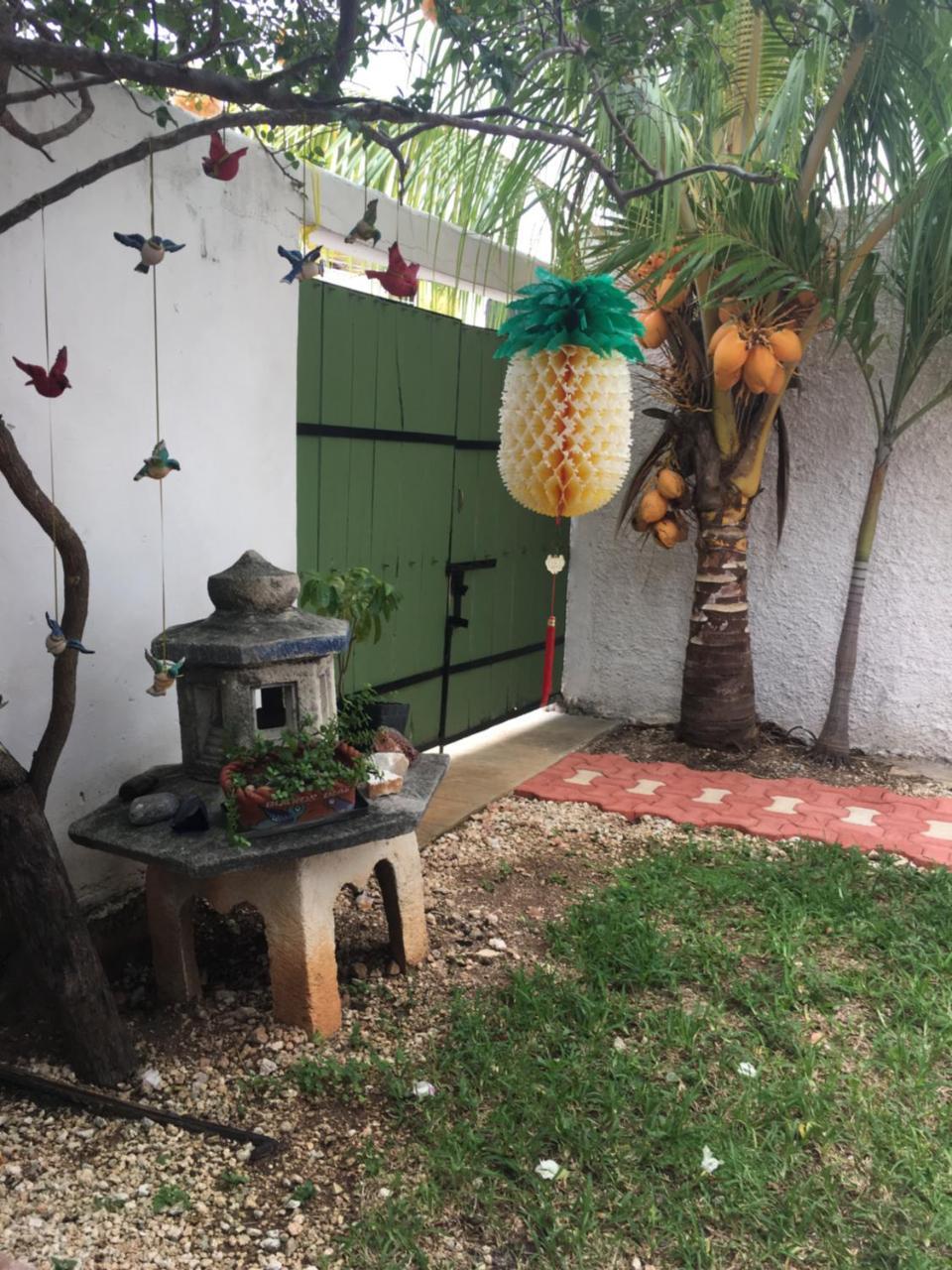 Violeta'S House Διαμέρισμα Κανκούν Εξωτερικό φωτογραφία